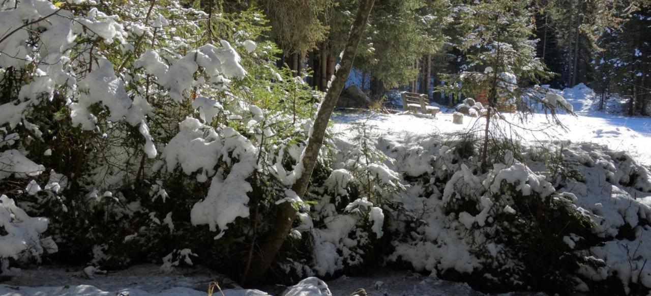Ferienwohnung Bergmann Außervillgraten Dış mekan fotoğraf